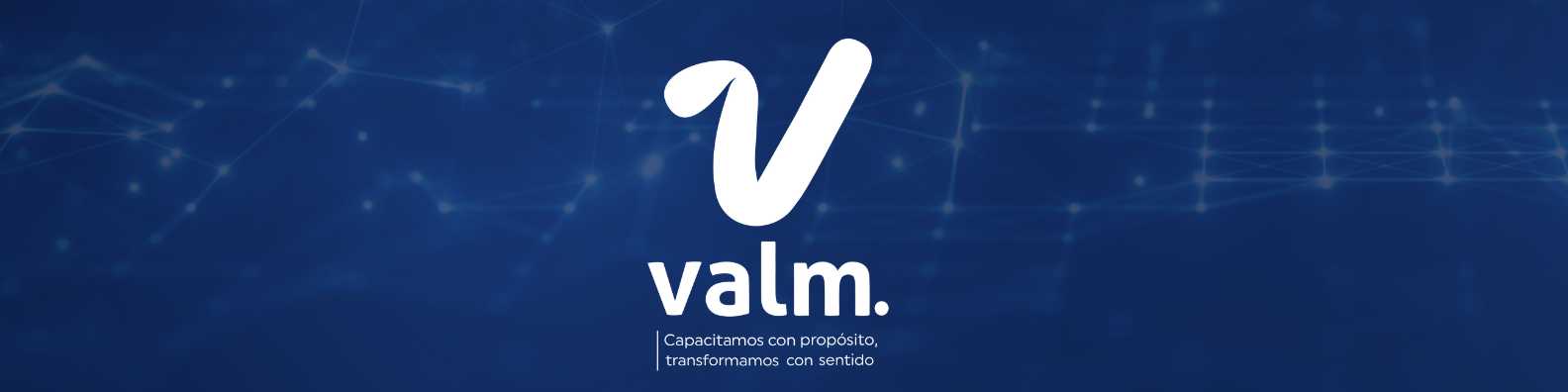 Banner para Valm Chile